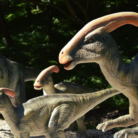 Dinopark w Szklarskiej Porębie