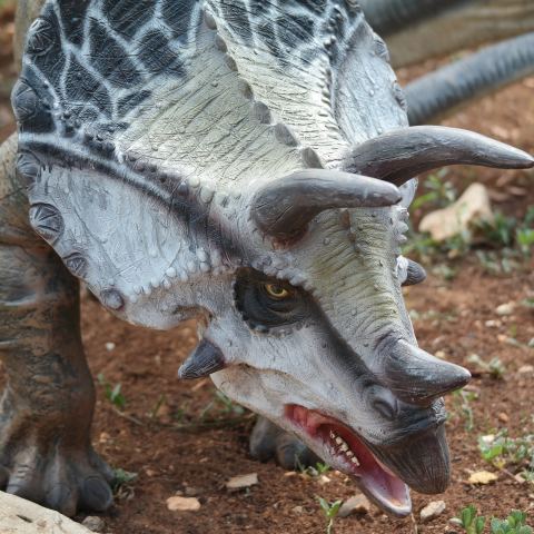 Dinopark w Szklarskiej Porębie