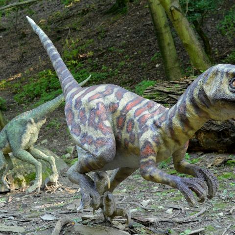 Dinopark w Szklarskiej Porębie
