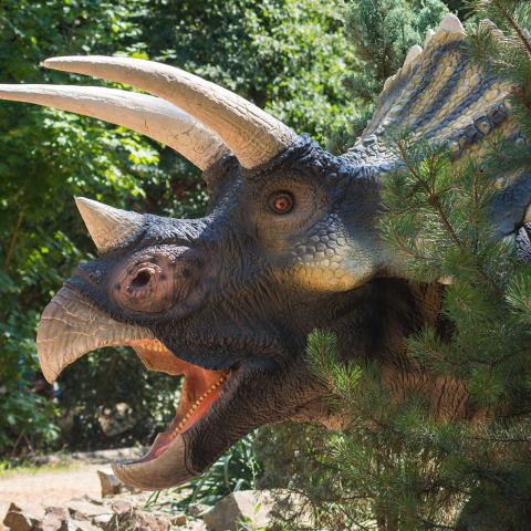 Dinopark w Szklarskiej Porębie