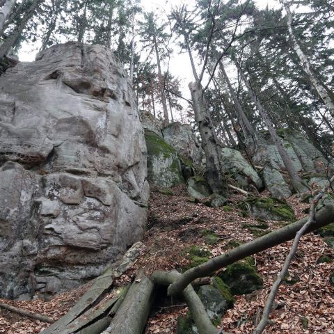 Skała Bambułka 2