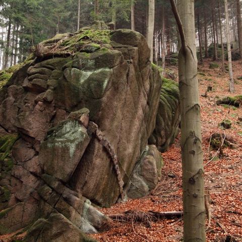 Aplitowa (Fot. krystian)