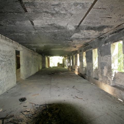 Kasyno Osówka - o co chodzi? (Fot. krystian)