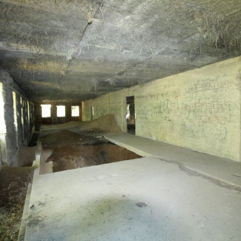 Kasyno Osówka - o co chodzi? (Fot. krystian)