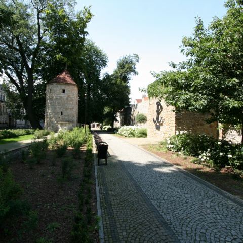 Mury obronne w Bolesławcu (Fot. aga)