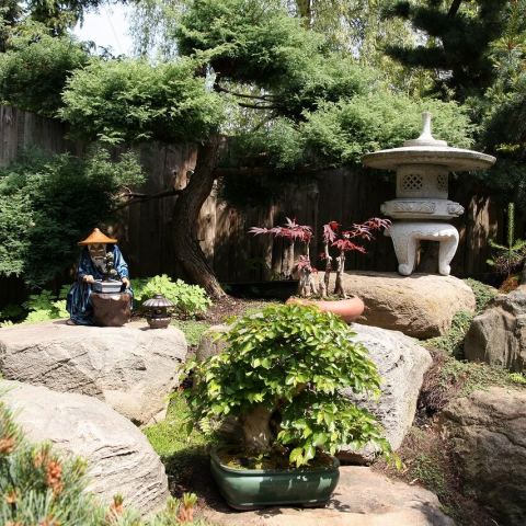 Ogród Japoński (Fot. krystian)