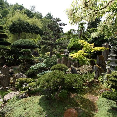 Ogród Japoński (Fot. krystian)