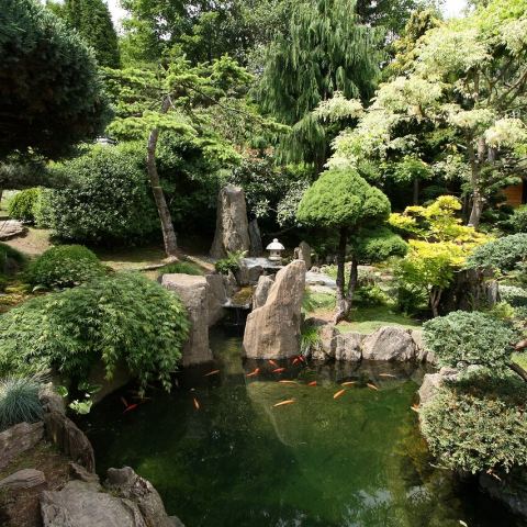 Ogród Japoński (Fot. krystian)