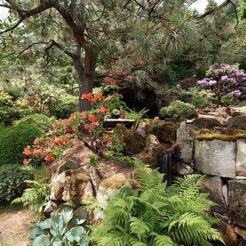 Ogród Japoński (Fot. krystian)