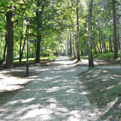 Park im. Jana III Sobieskiego (Fot. krystian)
