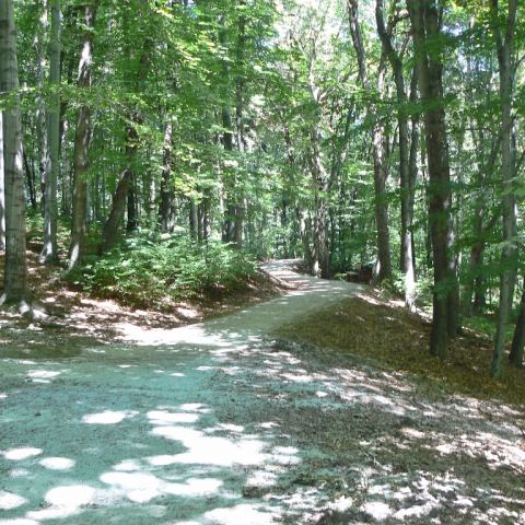 Park im. Jana III Sobieskiego (Fot. krystian)
