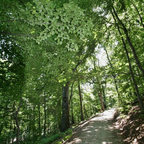 Park im. Jana III Sobieskiego (Fot. krystian)