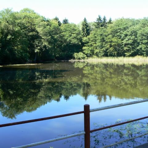 Park Rusinowa (Fot. krystian)