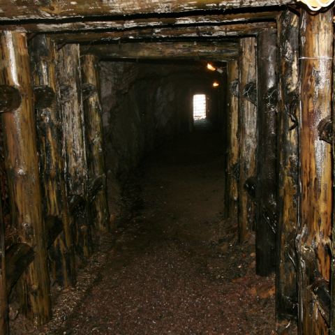 Sztolnie w kompleskie Osówka (Fot. krystian)