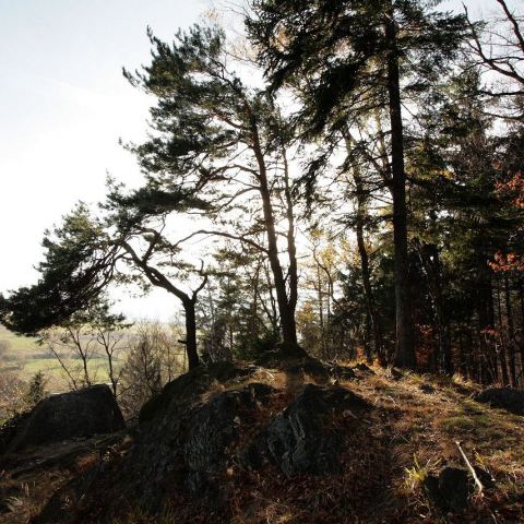 Punkt widokowy (Fot. mateo)