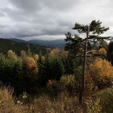 Schronisko na Iglicznej (Fot. mateo)