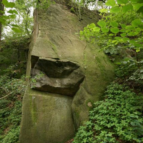 Sfinks z bliska.