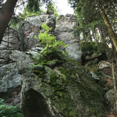 Skała Teściowej - Boczne Ścianki (Fot. mateo)
