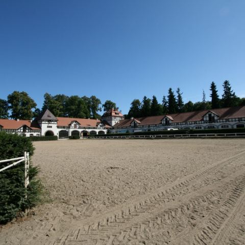 Stajnie Książ (Fot. krystian)