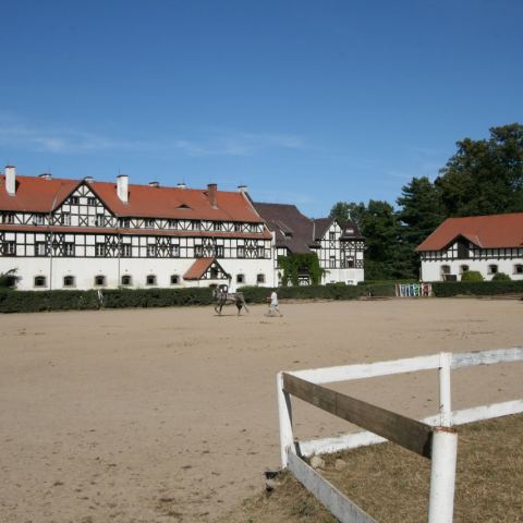 Stajnie Książ (Fot. krystian)