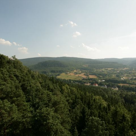 Taras widokowy na Szczytniku (Fot. krystian)