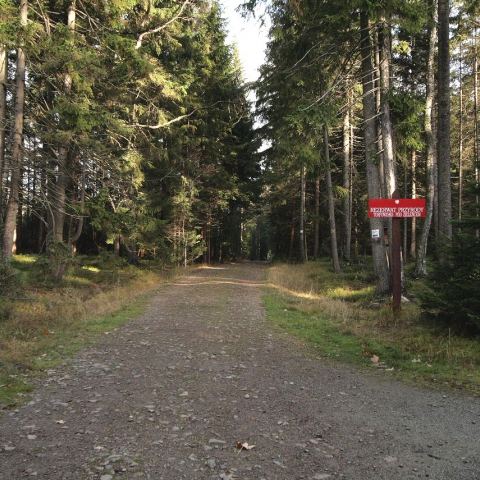 Torfowisko pod Zieleńcem (Fot. mateo)