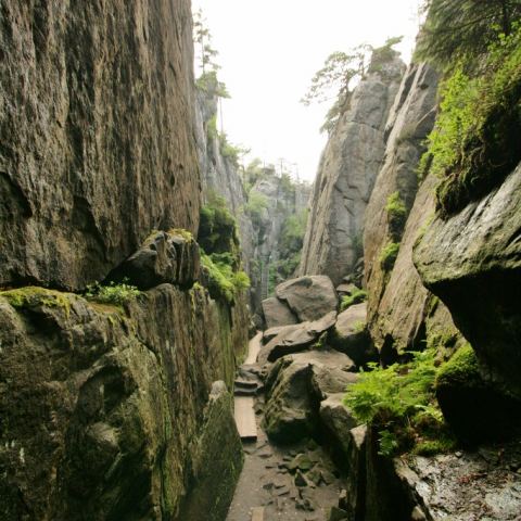 Trasa turystyczna im. Franciszka Pabla – Szczeliniec Wielki (Fot. krystian)