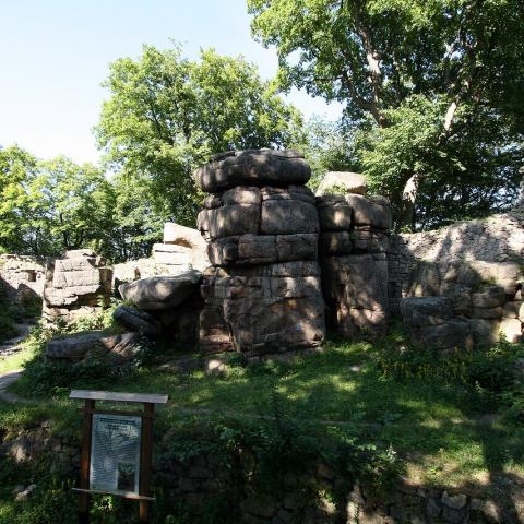 Zamek Bolczów (Fot. krystian)