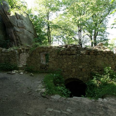 Zamek Bolczów (Fot. krystian)