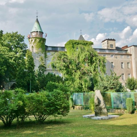 Zamek Leśny Kamień (Leśna) (Fot. krystian)