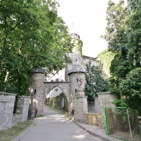Zamek Leśny Kamień (Leśna) (Fot. krystian)