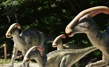 Dinopark w Szklarskiej Porębie