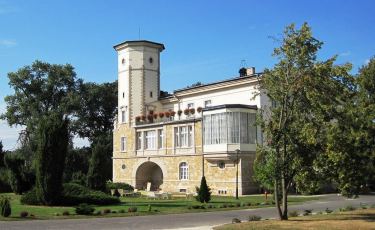 Widok na Pałac Brunów z oddali (Fot. Jordi Escuer Licencja CC BY-NC-ND 2.0)